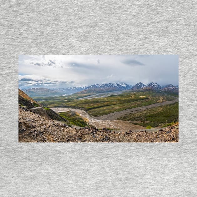 Denali Panorama 2 by andykazie